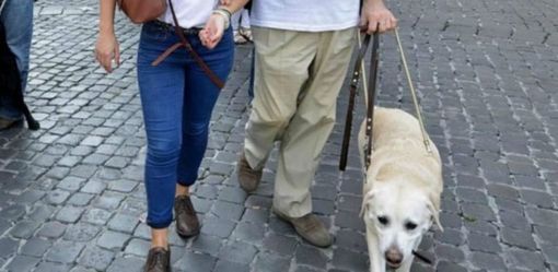 Per categorie con disabilità il mondo del lavoro è un rebus ancora più difficile da risolvere