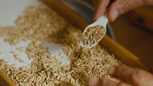 Crisi del riso, Confcooperative Piemonte: “Risaie asciutte, prezzi dimezzati e costi insostenibili. Il settore è al collasso" Crisi del riso, Confcooperative Piemonte: “Risaie asciutte, prezzi dimezzati e costi insostenibili. Il settore è al collasso"