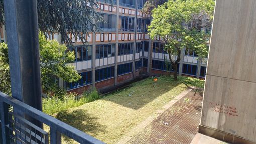 Erba alta: appalto da 700mila euro per la manutenzione del verde nelle scuole Erba alta: appalto da 700mila euro per la manutenzione del verde nelle scuole