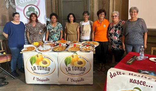 Domenica 12 luglio Costigliole Saluzzo celebra l’Albicocca Tonda, tra novità, golosità e grande passione