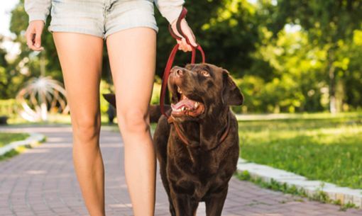 Il corso è gratuito ed è rivolto ai soli residenti nel Comune