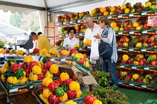 Carmagnola, al via la settantunesima Fiera Nazionale del Peperone &quot;speciale e diffusa&quot;