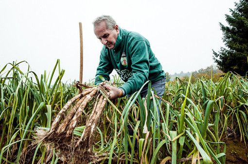 Foto di Barbara Guazzone