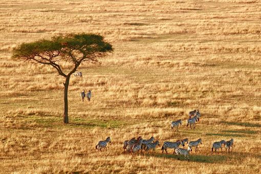 5 opzioni per un viaggio in Africa nel 2024