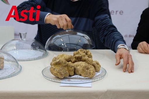 Vieni ad Asti a vivere l’atmosfera del Natale con “I Gioielli del Territorio”e “Il Magico Paese di Natale” Vieni ad Asti a vivere l’atmosfera del Natale con “I Gioielli del Territorio”e “Il Magico Paese di Natale”