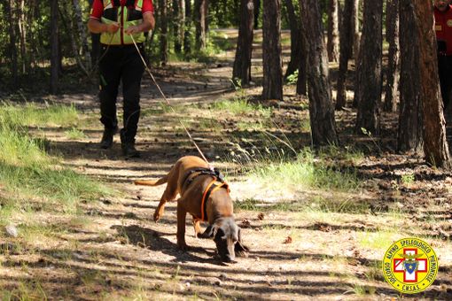 Magliano: "L'attività cinofila riparta anche in Piemonte"