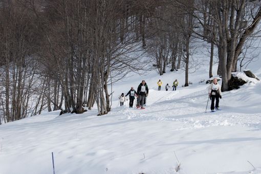 Sul Torinese maltempo nel weekend con neve anche a bassa quota e piogge Sul Torinese maltempo nel weekend con neve anche a bassa quota e piogge