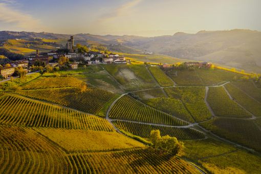 "Mio fratello alleva pecore e mucche: esperienze come la sua devono essere valorizzate" "Mio fratello alleva pecore e mucche: esperienze come la sua devono essere valorizzate"