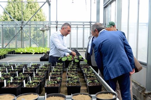 Grugliasco, il Centro di innovazione agroambientale debutta nelle Giornate del Fai