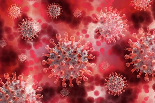 il virus del Covid al microscopio il virus del Covid al microscopio
