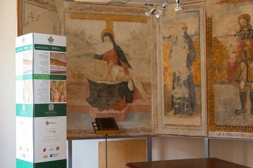 Foto di Treevision Foto di Treevision