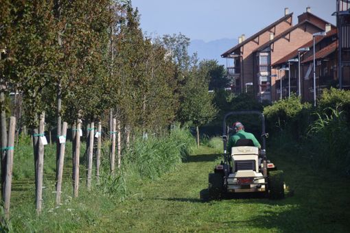 Iniziato il taglio dell'erba nei parchi e nei giardini di Grugliasco Iniziato il taglio dell'erba nei parchi e nei giardini di Grugliasco