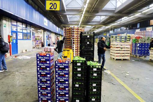 Raccolta alimentare Caat