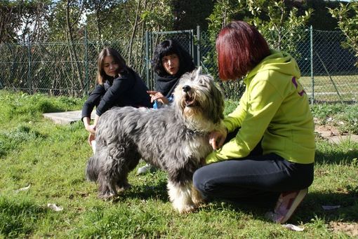 UAM, educazione cinofila e la magia dell’incontro a Grugliasco UAM, educazione cinofila e la magia dell’incontro a Grugliasco