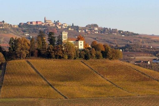 Immagine di repertorio Immagine di repertorio