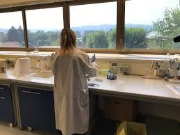 ricercatrice dell’Istituto Zooprofilattico ricercatrice dell’Istituto Zooprofilattico