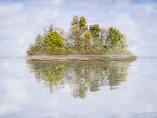 “Metamorphoseon”, alla Casa del Conte Verde un viaggio tra arte e natura “Metamorphoseon”, alla Casa del Conte Verde un viaggio tra arte e natura