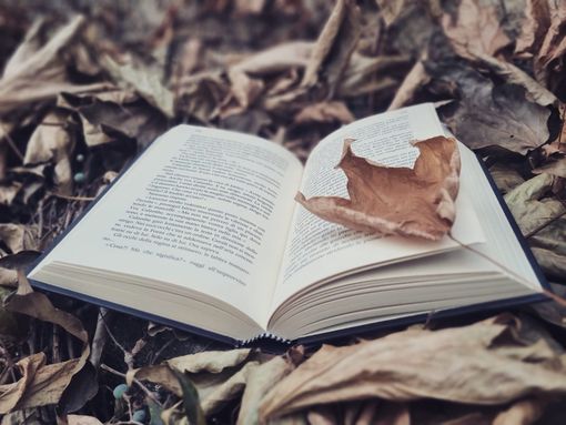 Benvenuto ottobre e alla magia dell’Ottobrata Benvenuto ottobre e alla magia dell’Ottobrata