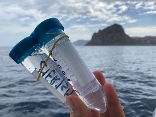 boccette per campionare il mare