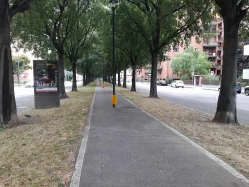 Grugliasco, terminati i lavori di asfaltatura di corso Allamano