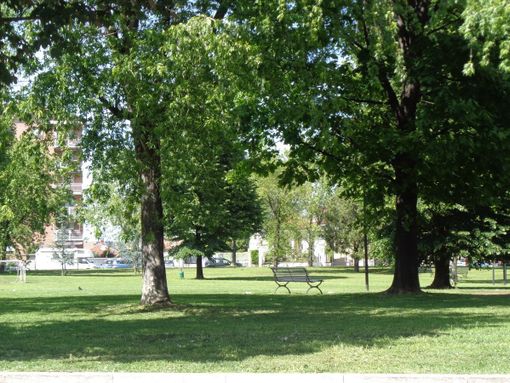parco pineta grugliasco