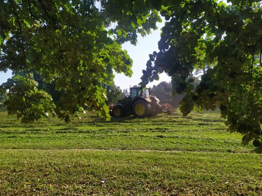 foto di archivio foto di archivio