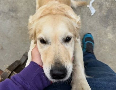 Immagine d'archivio Immagine d'archivio