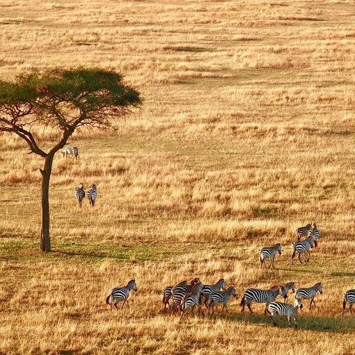 5 opzioni per un viaggio in Africa nel 2024