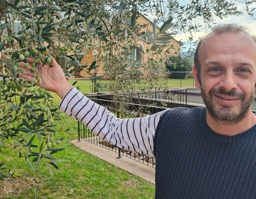 La stagione olearia entra nel vivo, il punto con Giacomo Rinaldi dell'Antica Azienda Raineri (Video)