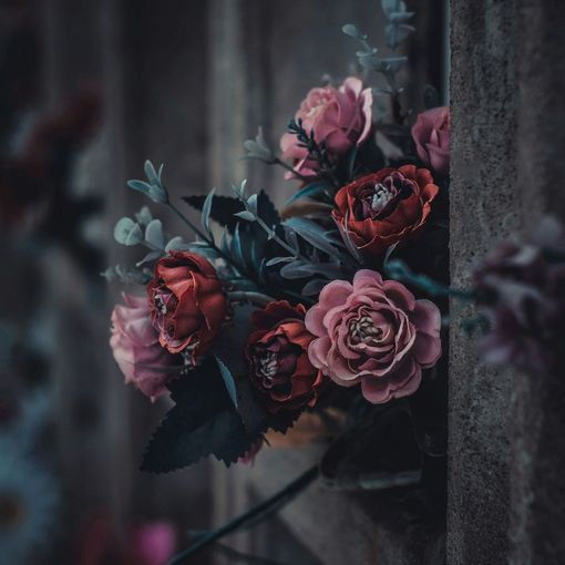 Athena Onoranze Funebri: servizi funerari economici a Torino e provincia