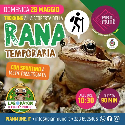 Pian Munè di Paesana: passeggiata alla scoperta della rana temporaria