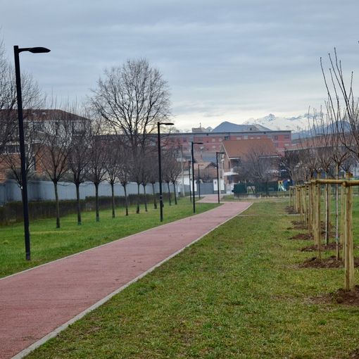 Novanta nuove piante per una Grugliasco sempre più Green