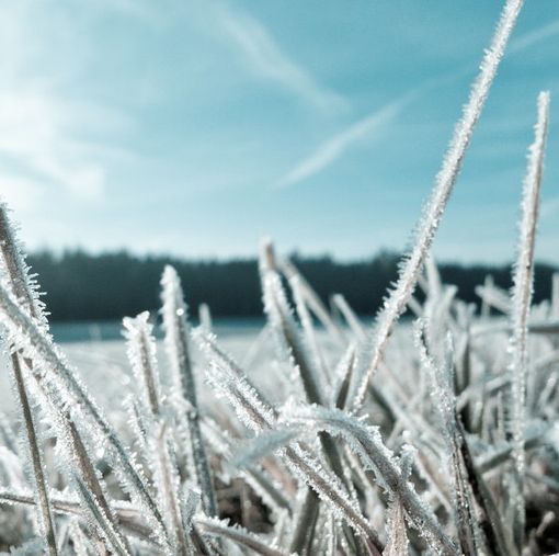 Meteo: dopo il vento, ritorna il gelo sulle pianure del torinese