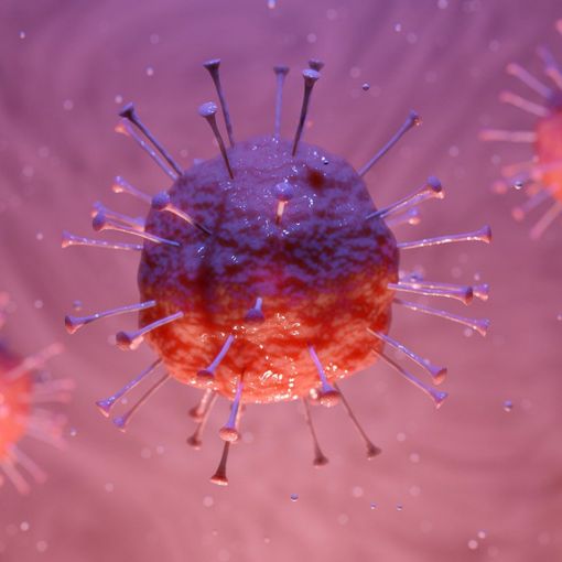 Coronavirus, anche oggi calano i ricoverati in Piemonte: -31, di cui 4 in meno in terapia intensiva
