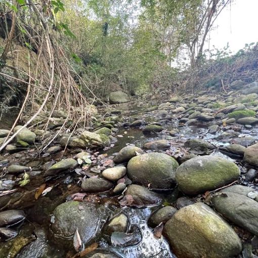 Pianezza: intervento da 2 milioni di euro per mettere in sicurezza il rio Fellone e realizzare una pista ciclabile