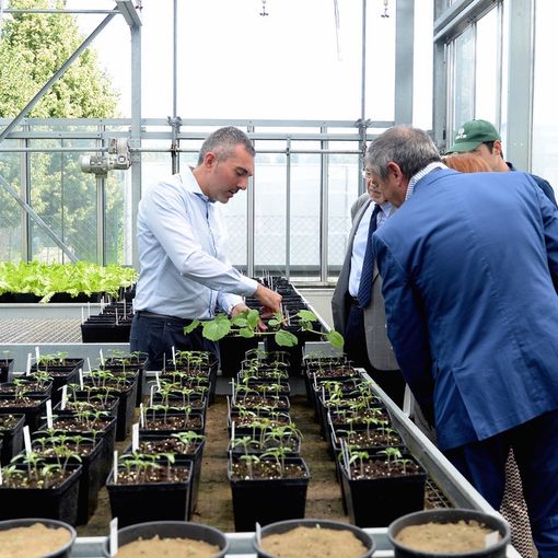 Grugliasco, il Centro di innovazione agroambientale debutta nelle Giornate del Fai