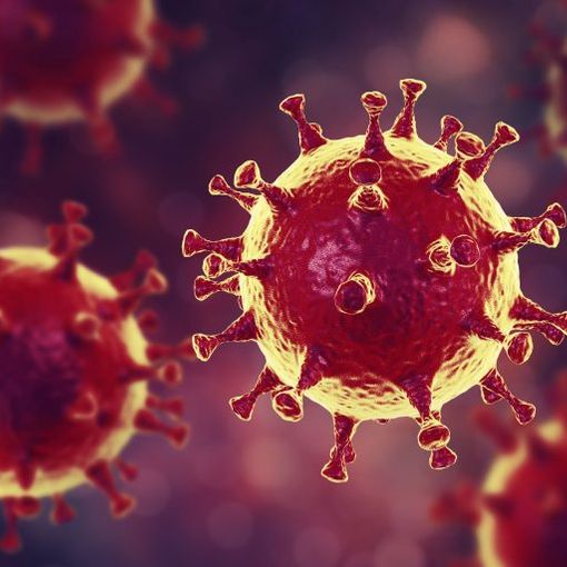 Covid, oggi altri 79 decessi: in terapia intensiva 13 ricoverati in meno