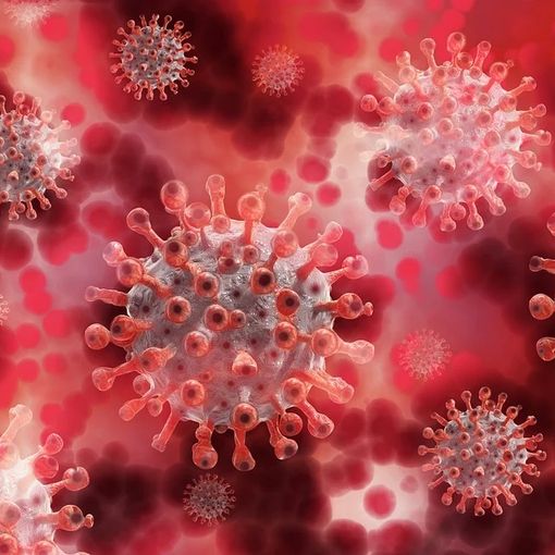 il virus del Covid al microscopio