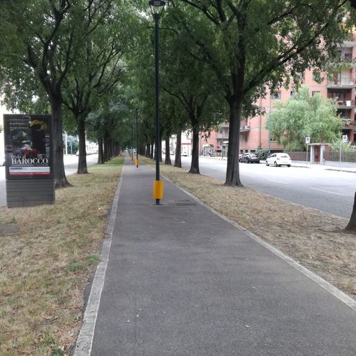 Grugliasco, terminati i lavori di asfaltatura di corso Allamano
