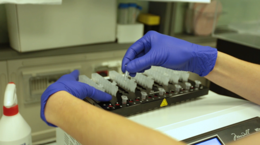provette in laboratorio
