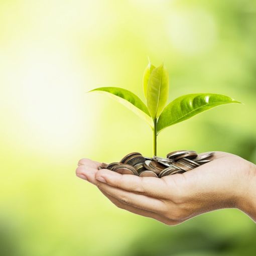 Ecobonus 2020: per i cittadini piemontesi il Codacons mette a disposizione uno staff tecnico specializzato