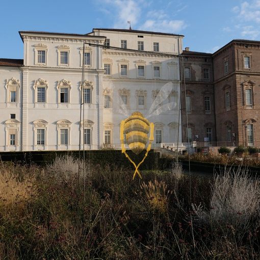 Una Libellula e un'Ape Regina di Hilario Hisola fluttuano nei giardini della Reggia di Venaria Reale