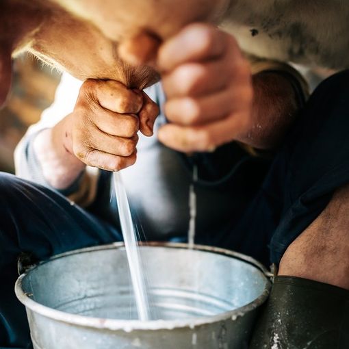 Coldiretti Piemonte:: &quot;Bene proroga etichette salva Made in Italy&quot;