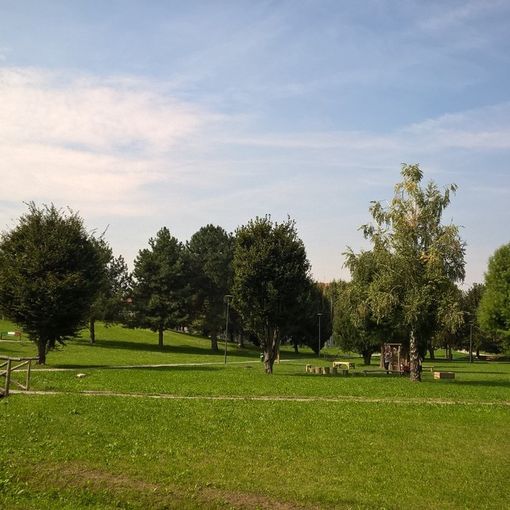 Parco porporati a Grugliasco torna ad ospitare lo Sport Day