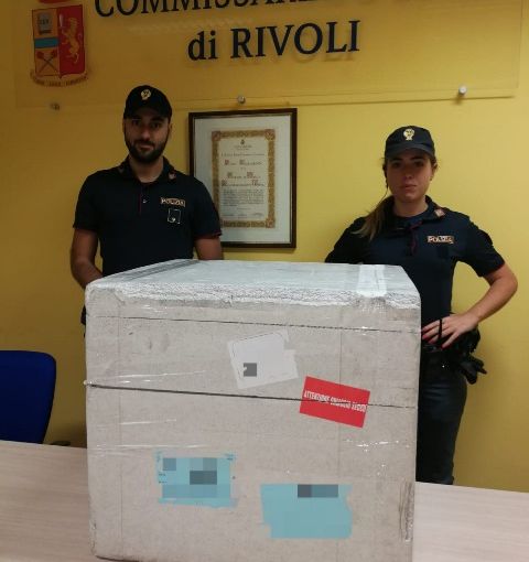 Rivoli, ritrovati 19 kit nuovi per tamponi Covid-19