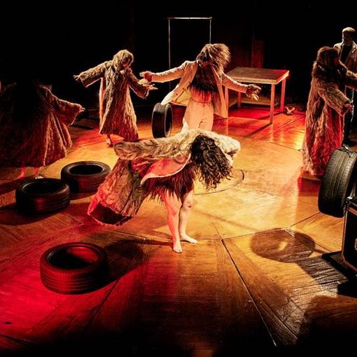 sul filo del circo grugliasco
