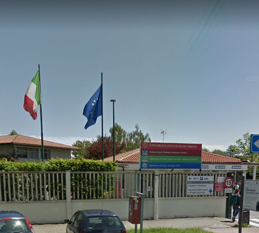Immagine di archivio