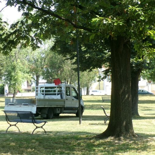 Dopo il grande successo dello scorso anno torna a Grugliasco &quot;Dona un albero&quot;