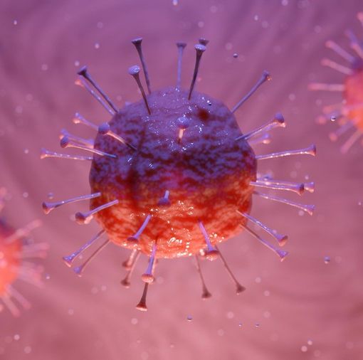 Coronavirus, in Piemonte 669 nuovi guariti in un solo giorno, più della metà in provincia di Torino. I neo contagiati sono 87