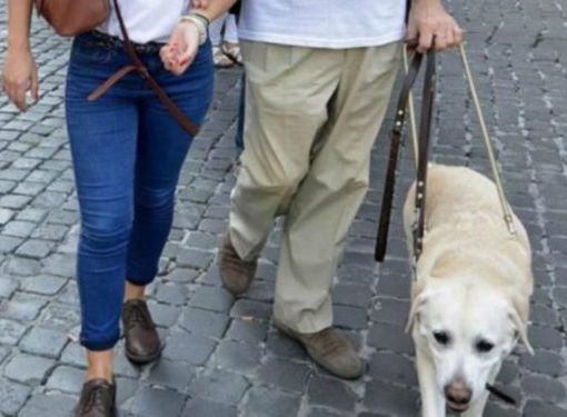 Per categorie con disabilità il mondo del lavoro è un rebus ancora più difficile da risolvere